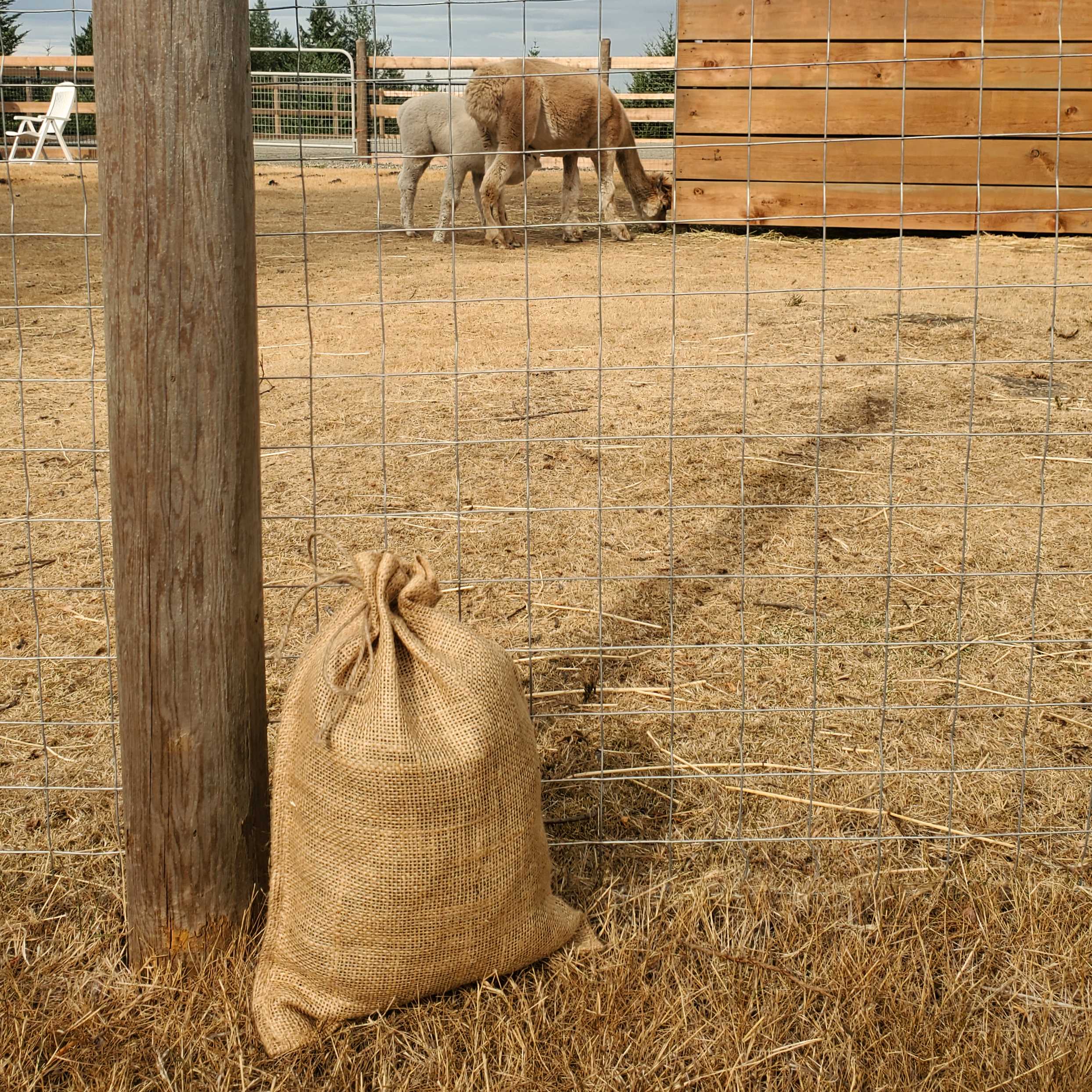 GRAB YOUR BAG